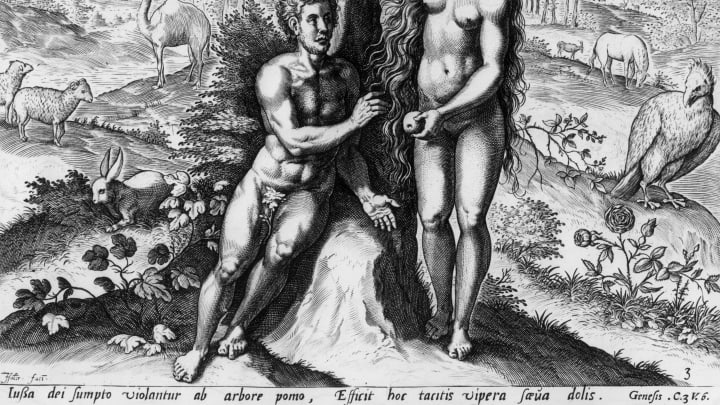 Circa 1650, Eve offers Adam the fruit of the tree of knowledge of good and evil in the garden of Eden. Original Artwork: ‘Theatrum Biblicum’ by Johann Fischen (circa 1650). (Photo by Hulton Archive/Getty Images)