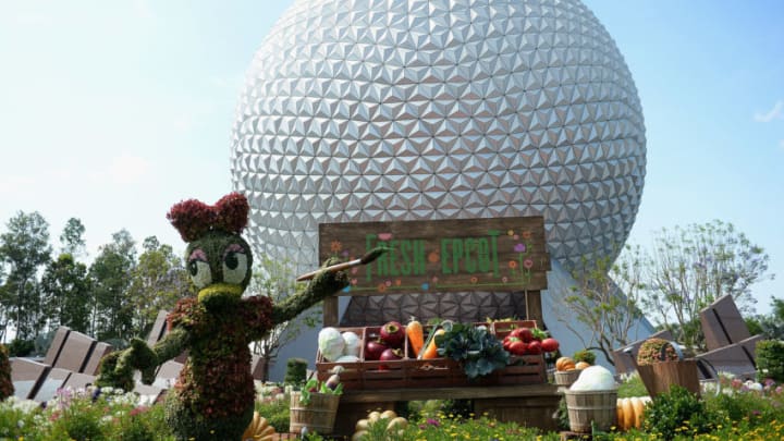 ORLANDO, FL - MAY 11: General view of Epcot International Flower And Garden Festival at Epcot Center at Walt Disney World on May 11, 2016 in Orlando, Florida. (Photo by Gustavo Caballero/Getty Images)