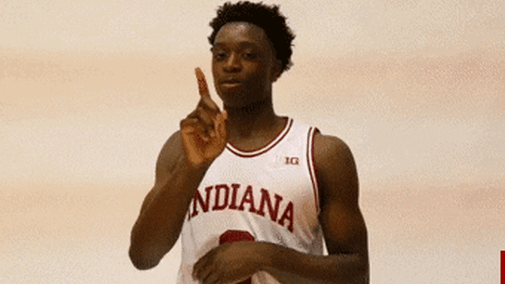 Indiana Athletics basketball iu college basketball ncaa basketball GIF