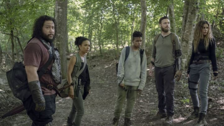 Cooper Andrews as Jerry, Ross Marquand as Aaron, Lauren Ridloff as Connie, Angel Theory as Kelly, Nadia Hilker as Magna - The Walking Dead _ Season 10, Episode 8 - Photo Credit: Gene Page/AM8