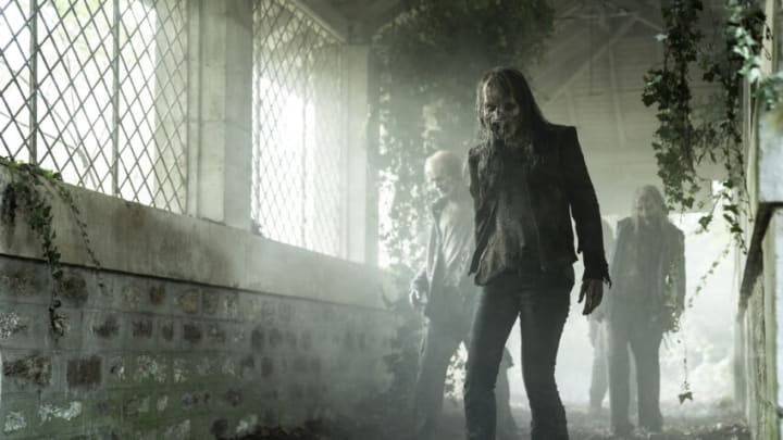 - The Walking Dead: Daryl Dixon _ Season 1 - Photo Credit: Emmanuel Guimier/AMC