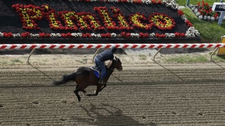 May 12, 2015; Baltimore, MD, USA; A thoroughbred works out on the track at Pimlico Race Course, site of the 140th Preakness Stakes. Mandatory Credit: Geoff Burke-USA TODAY Sports