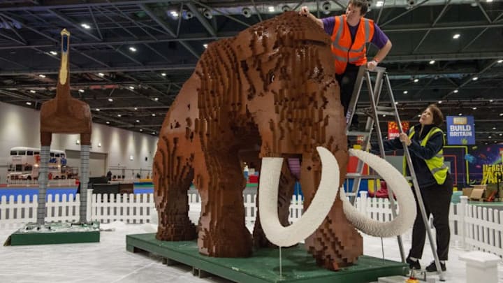LONDON, ENGLAND - DECEMBER 10: Husband and wife Annie Diment and Ed Diment, put the final bricks in place on their Ice Age display, with a Lego wolly mammouth made from 400,000 bricks which took 9 weeks to build at ExCel on December 10, 2015 in London, England. Brick 2015 is an exhibition dedicated to Lego and runs at London's ExCel over three days starting on 11th December. It features displays including Harry Potter, landmarks such as Big Ben and a dance music festival. (Photo by Chris Ratcliffe/Getty Images)