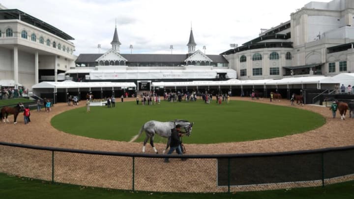 The paddock areas for race 9 called The Toy Tiger on Tuesday of Kentucky Derby week.May 2, 2023