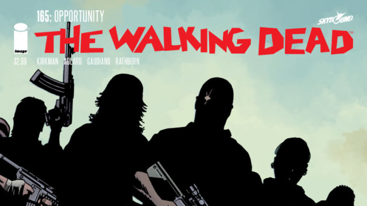 The Walking Dead 165 cover - Image Comics and Skybound Entertainment