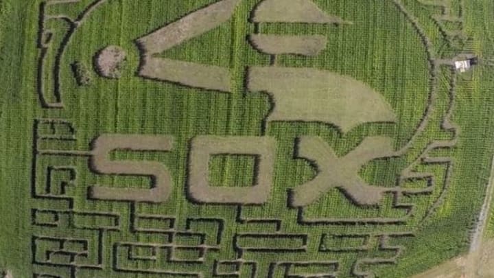white-sox-corn-maze