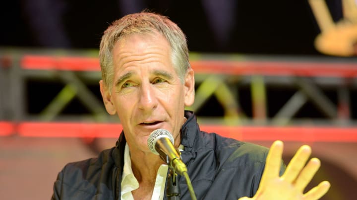 LOS ANGELES, CA – OCTOBER 28: Actor Scott Bakula on day 2 of Stan Lee’s Los Angeles Comic Con 2017 held at Los Angeles Convention Center on October 28, 2017 in Los Angeles, California. (Photo by Albert L. Ortega/Getty Images)