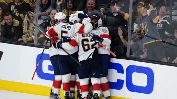 Florida Panthers (Mandatory Credit: Lucas Peltier-USA TODAY Sports)