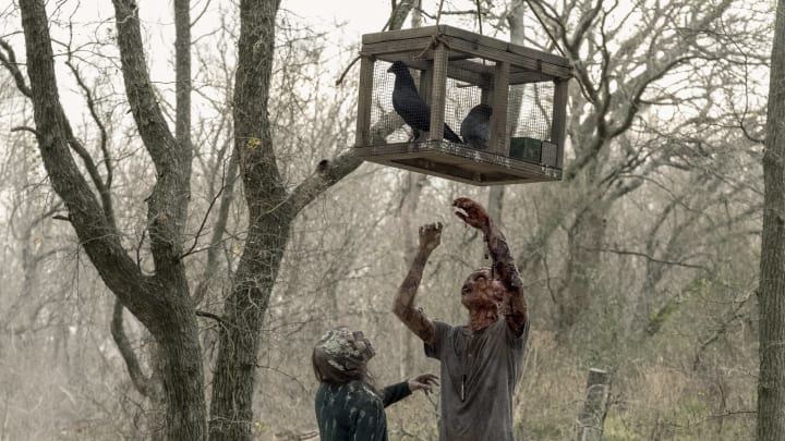 Fear the Walking Dead _ Season 5, Episode 2 – Photo Credit: Ryan Green/AMC