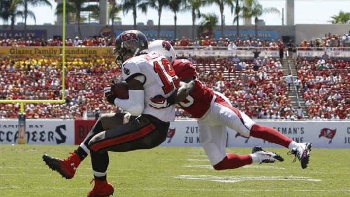 Sep 29, 2013; Tampa, FL, USA; Tampa Bay Buccaneers wide receiver Mike Williams (19) catches the ball for a touchdown as Arizona Cardinals cornerback Jerraud Powers (25) attempts to defend during the first quarter at Raymond James Stadium. Mandatory Credit: Kim Klement-USA TODAY Sports