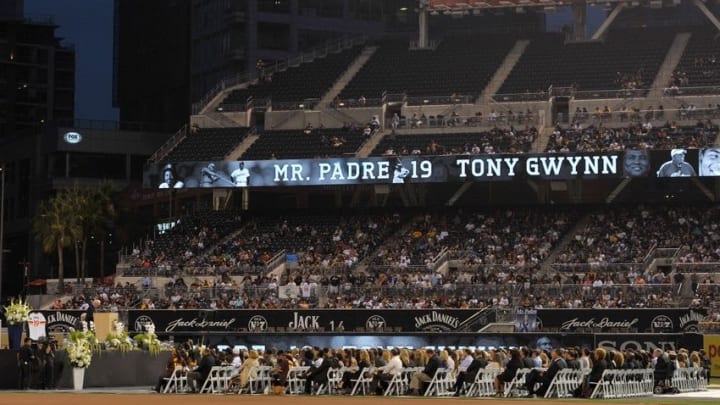 Jun 26, 2014; San Deigo, CA, USA; San Diego Padres former player Tony Gwynn
