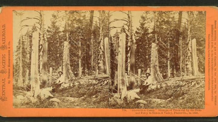 Stumps of trees cut by the Donner Party in Summit Valley, California