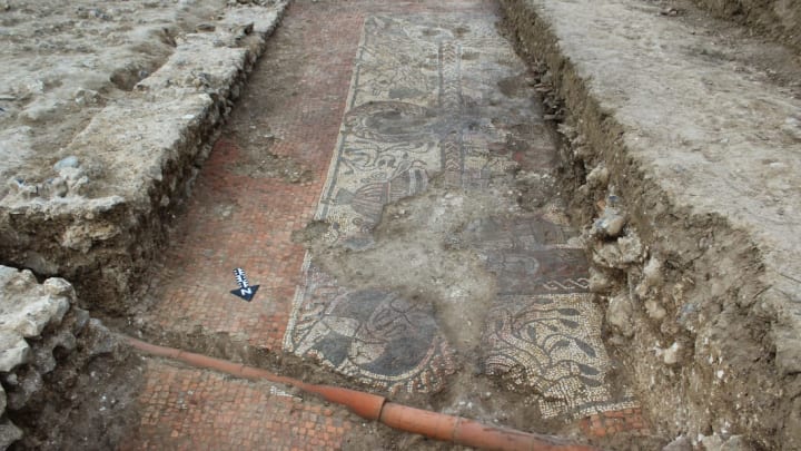 Cotswold Archaeology