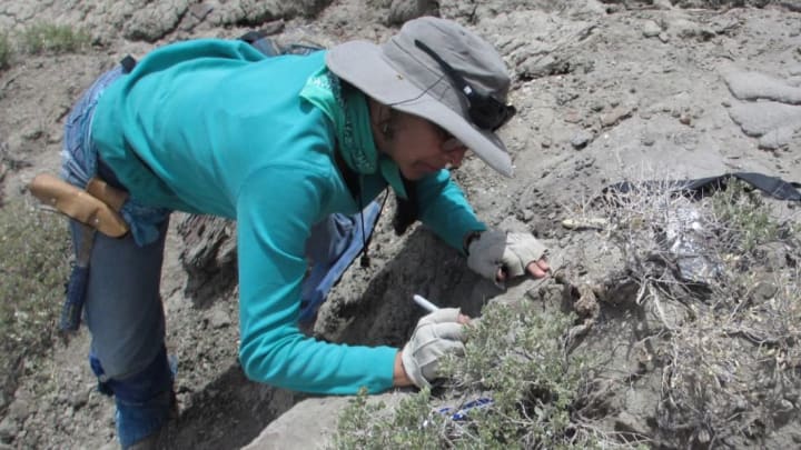 Lead author Karen Chin of the University of Colorado Boulder