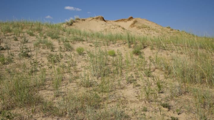 Sand Hills in Kansas.