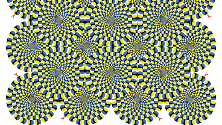 "The Rotating Snakes Illusion"