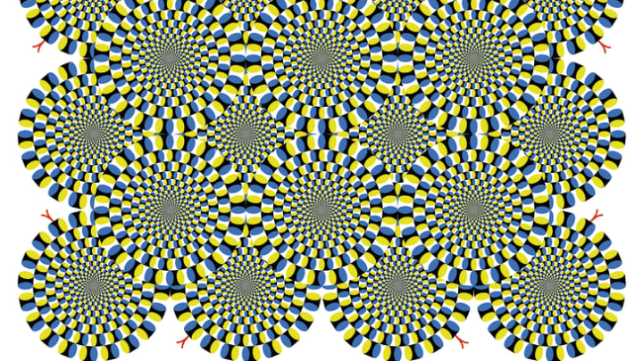 Award Winning Optical Illusions And Brain Puzzles 