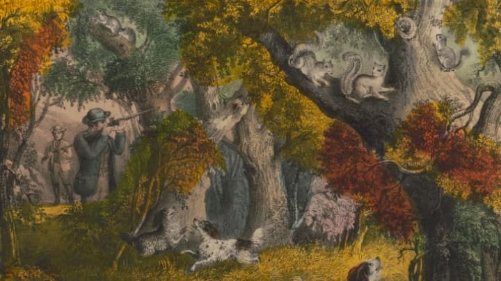 A colored lithograph shows men and dogs hunting squirrels in a forest.