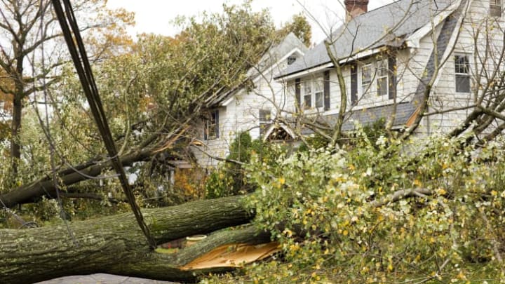 Tree branches down in front of a house.
