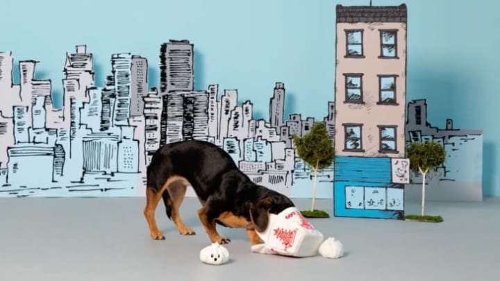 Dog with plush dumpling toys