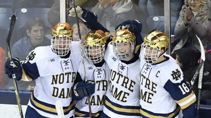 SOUTH BEND, IN - JANUARY 07: Notre Dame Fighting Irish forward Cam Morrison (26), Notre Dame Fighting Irish defenseman Matt Hellickson (5), Notre Dame Fighting Irish forward Jake Evans (18) and teammate celebrate after Notre Dame Fighting Irish defenseman Matt Hellickson scored a goal during the game between the Notre Dame Fighting Irish and the Michigan Wolverines on January 7, 2018 at the Compton Family Ice Arena in South Bend, Indiana. (Photo by Quinn Harris/Icon Sportswire via Getty Images)