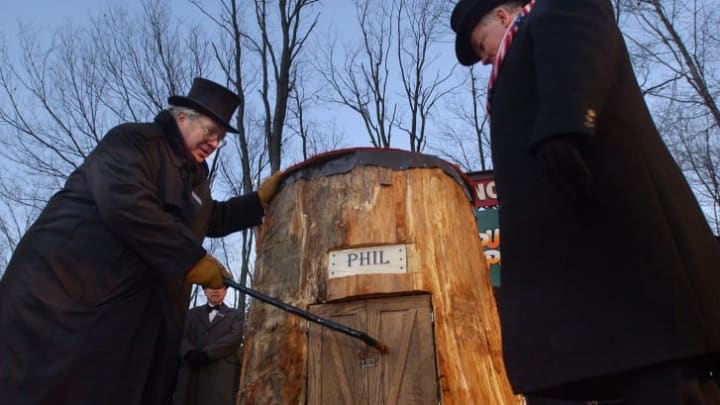 Members of Punxsutawney's 'Inner Circle' tap on Punxsutawney Phil's door as they entice him out February 2.