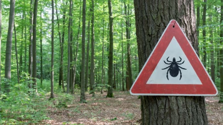 Tick warning sign posted on a tree.