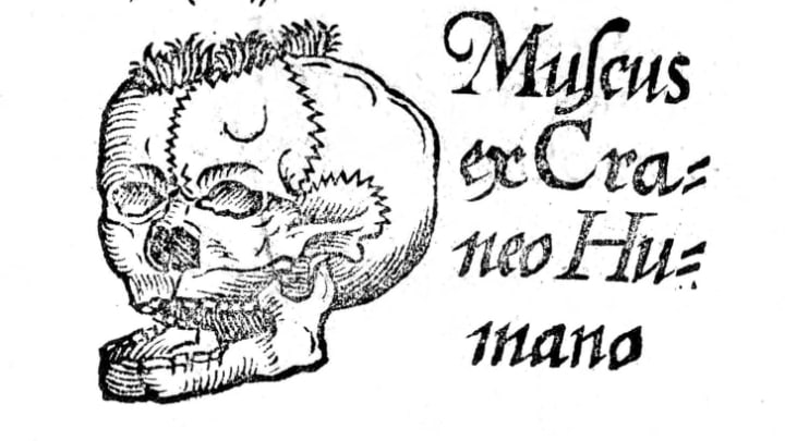 A 1633 image of skull moss from The herball or, generall historie of plantes by John Gerarde