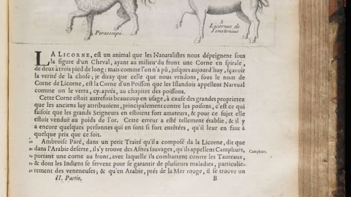 A page from a 17th-century French medical text discussing unicorns
