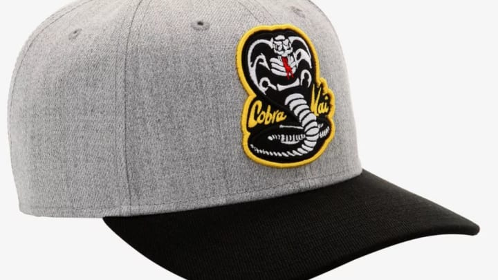 Discover the 'Cobra Kai' logo snapback hat at Hot Topic.
