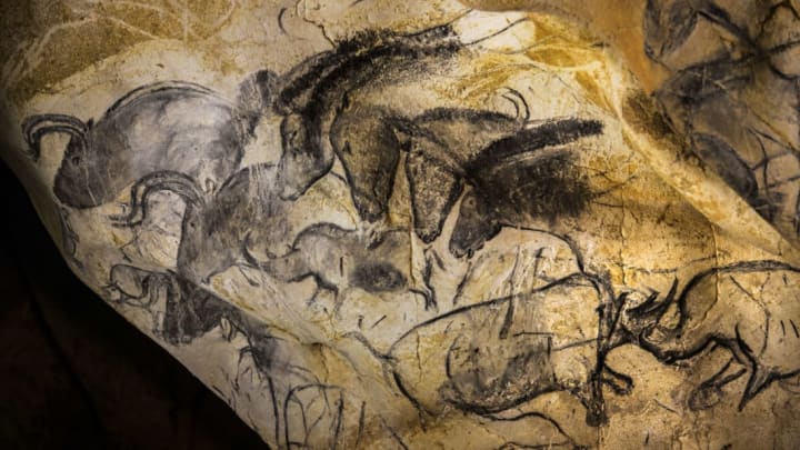 A view taken on June 13, 2014 shows paintings of animal figures on the rock walls of the Chauvet Cave in Vallon Pont d'Arc.