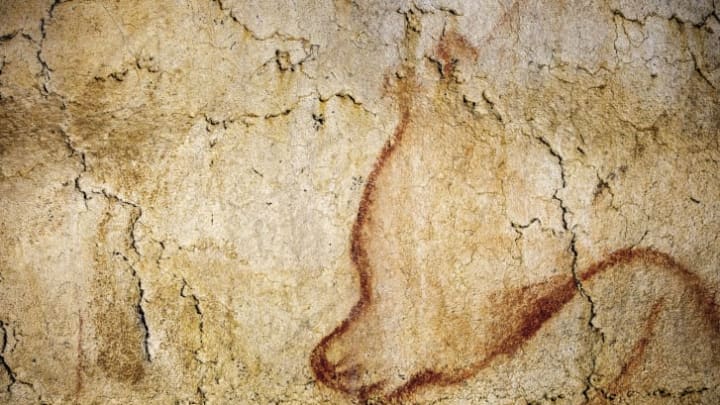 A view taken on June 13, 2014 shows paintings on the rock walls of the Chauvet cave, in Vallon Pont d'Arc.