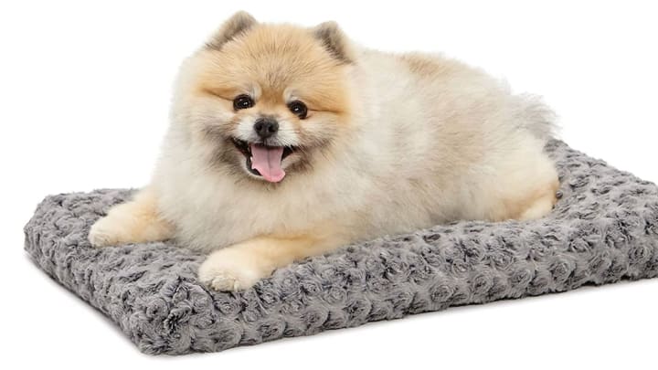 Discover Midwest Homes for Pets' dog bed on Amazon.