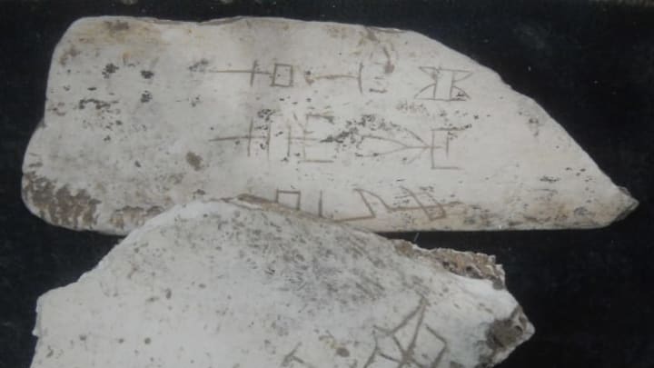 Pieces of oracle bone engraved with early Chinese writing from the Shang dynasty, collection of Pitt Rivers Museum, Oxford University