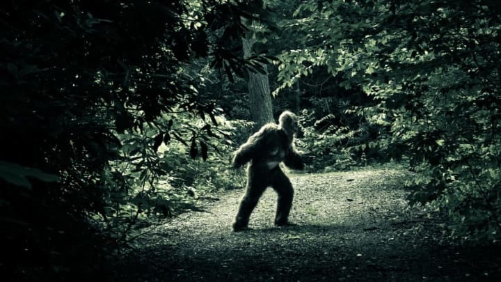 Bill could make Bigfoot state's official cryptid