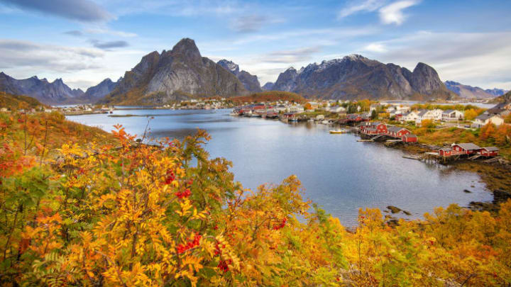 In the Lofoten Islands, fall brings both colorful foliage and the Northern Lights.