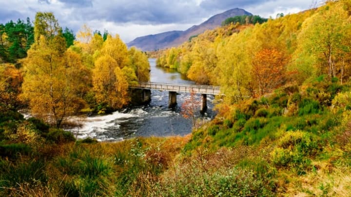 Autumn colours create a haven for the soul in wild Glen Affric