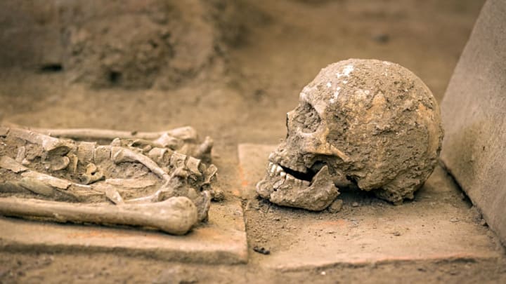 Scientists Are Creating a 3D Model of an 18th-Century 'Vampire Witch' Who Was Tortured to Death | Mental Floss
