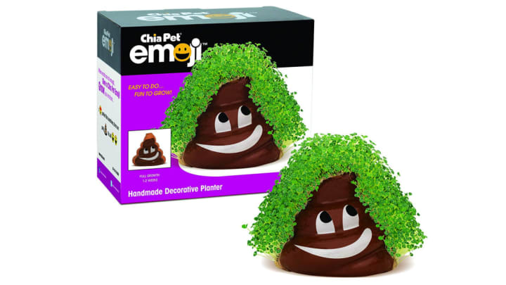 Chia Pet/Amazon