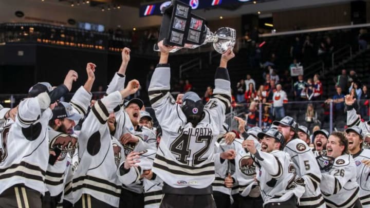 Dylan McIlrath, Hershey Bears