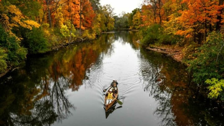 Barry Sedgwick, 97, front, and friend Don Potter, 83, float a canoe past the fall foliage on the Red Cedar River on Wednesday, Oct. 14, 2020, in Williamston.201014 Sedgwick 098a