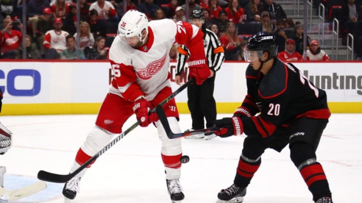 DETROIT, MI - OCTOBER 22: Thomas Vanek #26 of the Detroit Red Wings battles for the puck with Sebastian Aho #20 of the Carolina Hurricanes during the second period at Little Caesars Arena on October 22, 2018 in Detroit, Michigan. (Photo by Gregory Shamus/Getty Images)