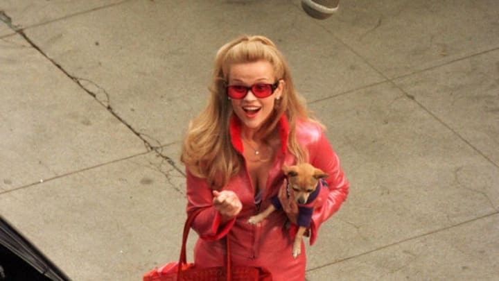 380629 04: ***EXCLUSIVE*** Actress Reese Witherspoon films a scene on the set of "Legally Blonde" October 21, 2000 in Los Angeles, CA. (Photo by Eric Ford/Online USA)