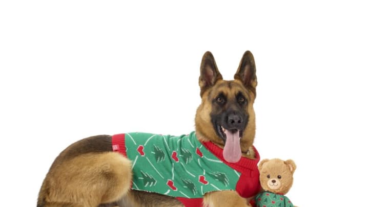 Build-A-Bear and PetSmart Launches New Pet Apparel and Toy Collection. Image courtesy Build-A-Bear, PetSmart