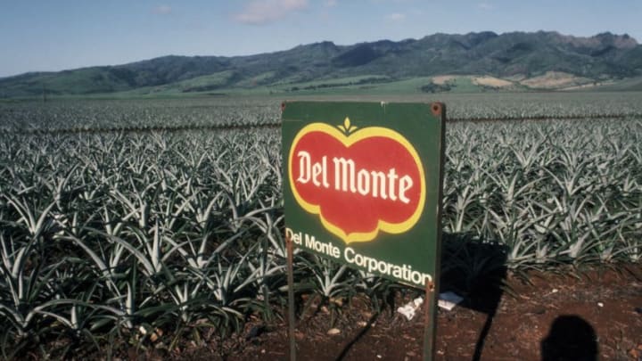 OAHU, HAWAII - 2000: A Del Monte pineapple field on the outskirts of Honolulu is viewed in this 2000 Oahu, Hawaii, photo. (Photo by George Rose/Getty Images)
