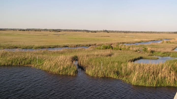 The Combahee River basin in Beaufort County, South Carolina, near the Harriet Tubman Bridge and near where the raid is believed to have taken place.