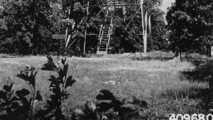 A photo of a lookout tower constructed in Mark Twain National Forest.