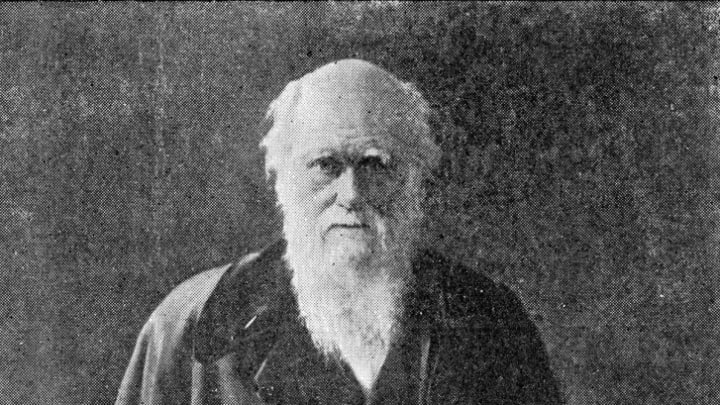 A portrait of scientist Charles Darwin from the 1880s.