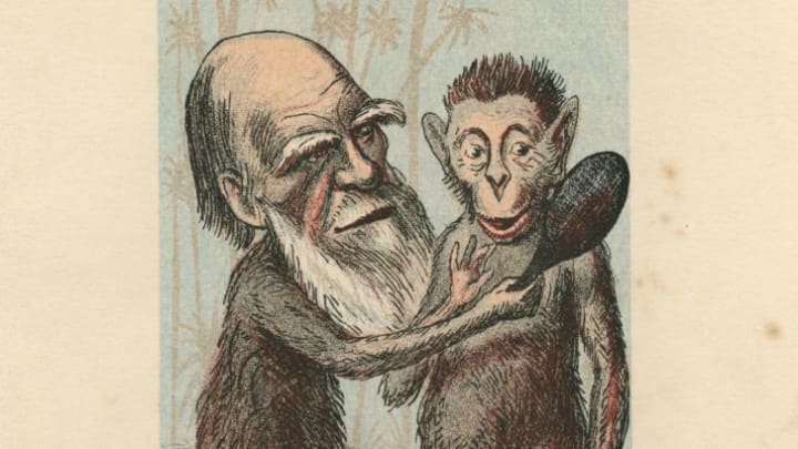 Charles Darwin's theories were (and, in some cases, still are) the source of controversy and mockery.