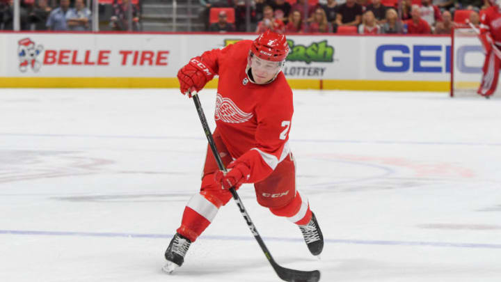 DETROIT, MI - SEPTEMBER 25: Detroit Red Wings defenseman Joe Hicketts